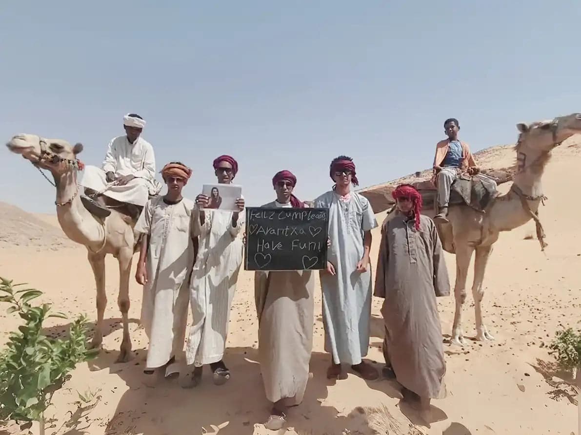 Desert Camel